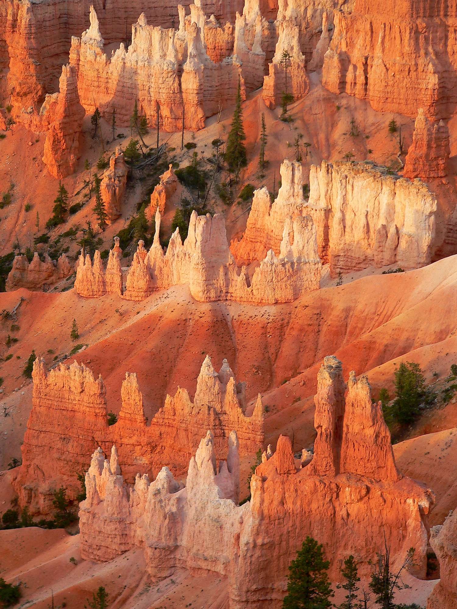Bryce Canyon National Park in Utah. 