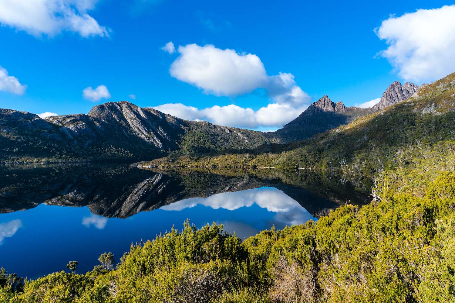 Cradle Mountain on clear day reflected in Dove Lake. Cradle Mountain - Lake St Clair National Park, Tasmania, Australia