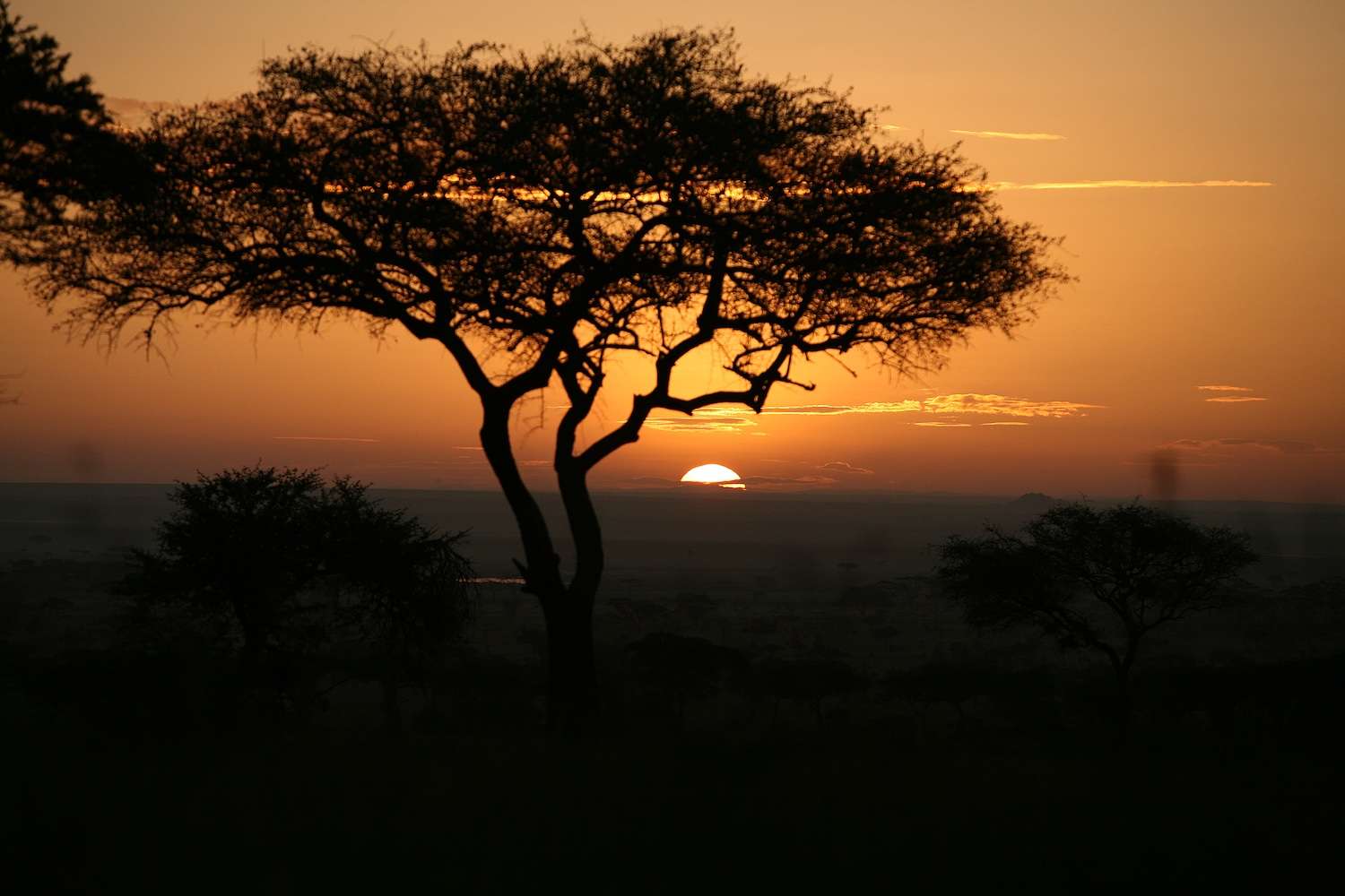 A beautiful sunset in Tanzania.