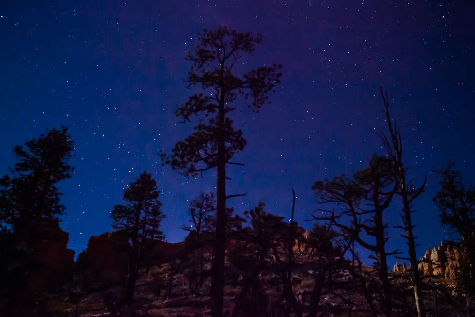 Stargazing Night Sky at Fairyland Loop at Bryce Canyon National Park
