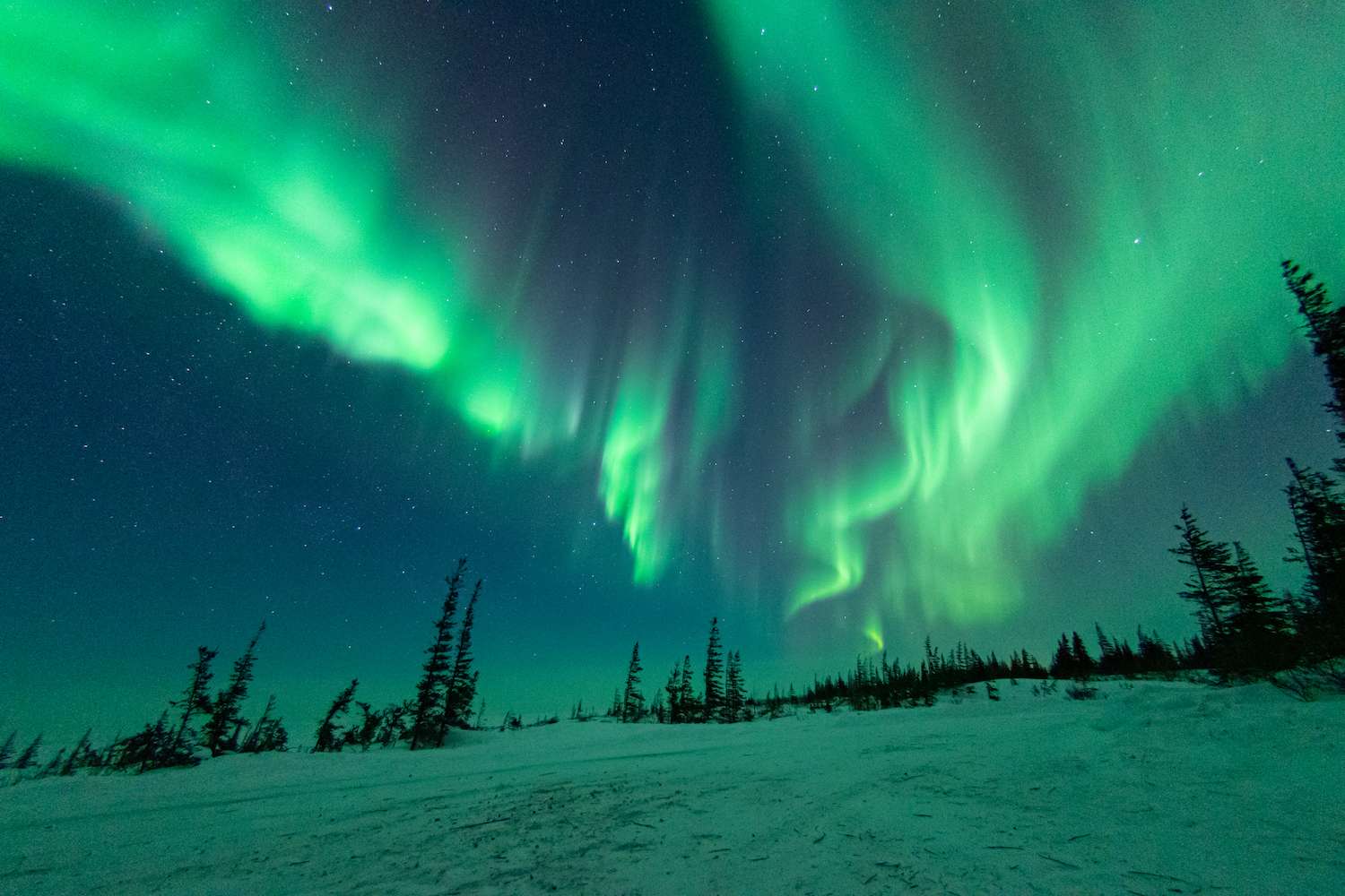 Northern lights dance above the tundra in Churchill, Manitoba. 