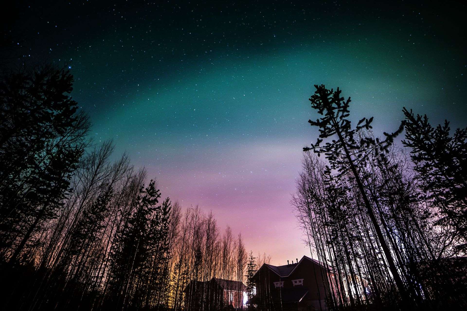 A beautiful yellow, purple, green and blue aurora of the Northern lights.