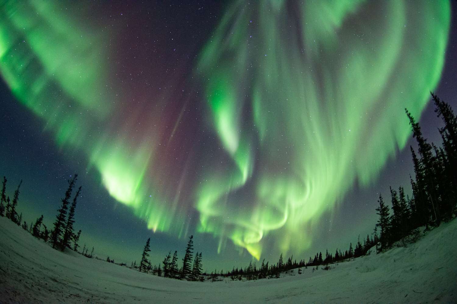 Northern Lights in Churchill Canada.