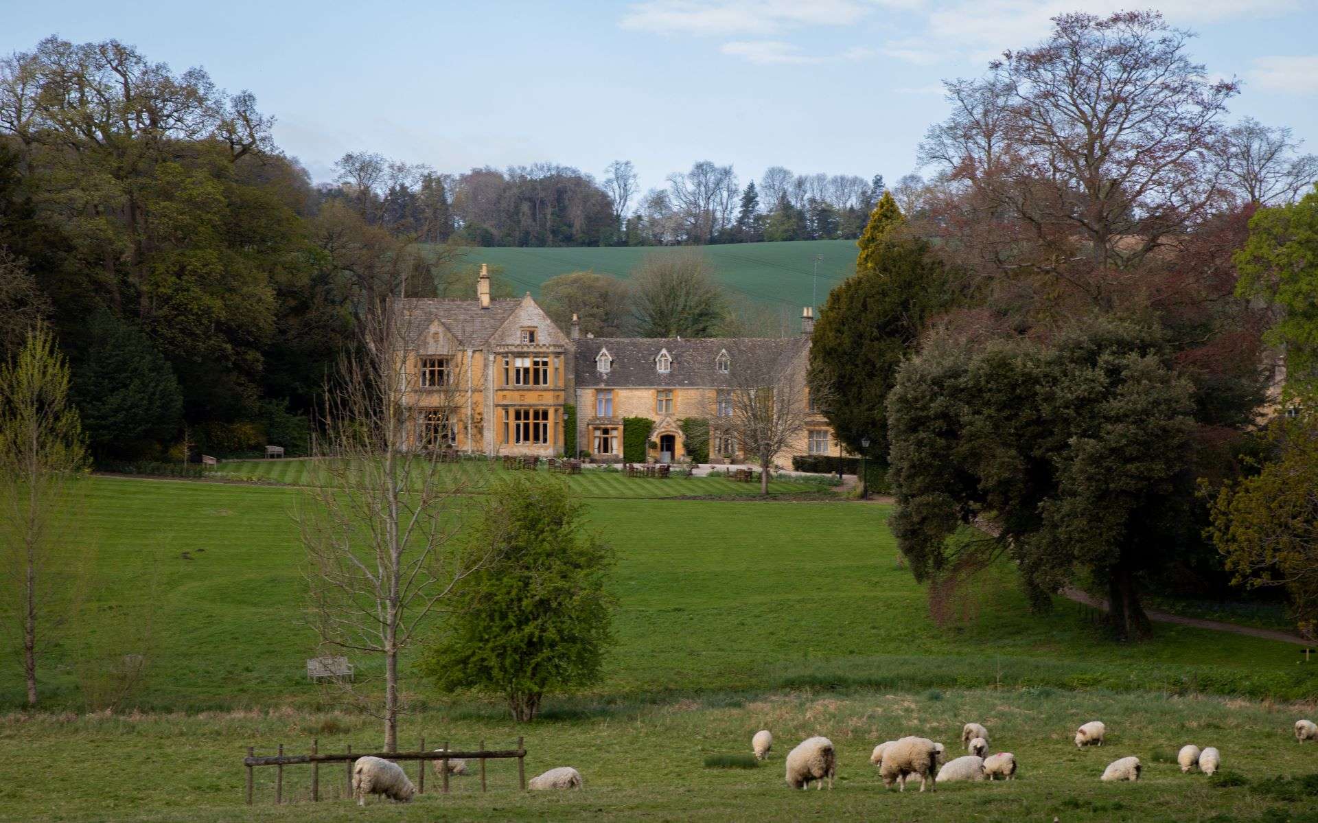 Sheep in front of a house in Cotswolds, England
