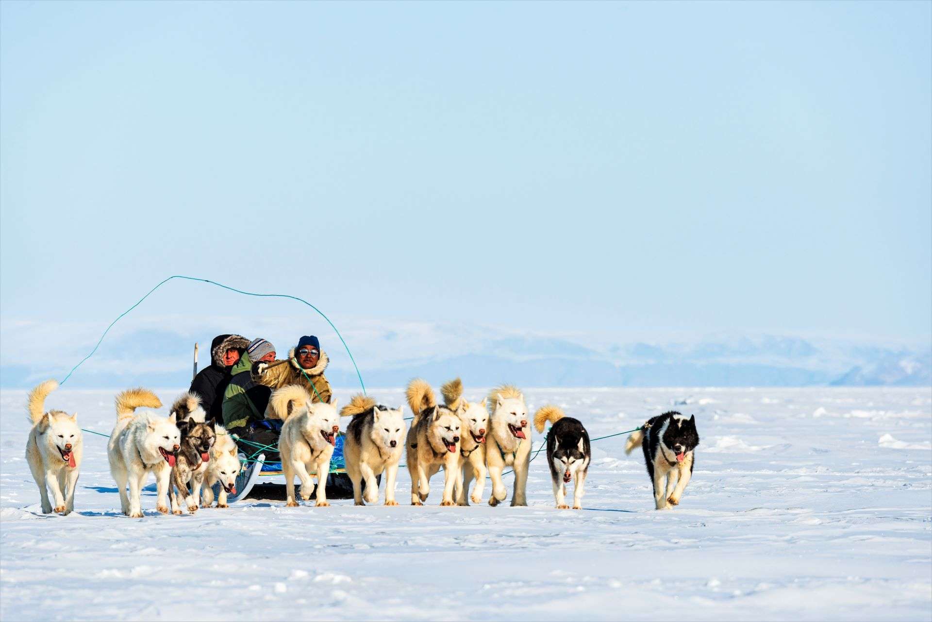 Tourist dog sledge trip with a musher and his dogs