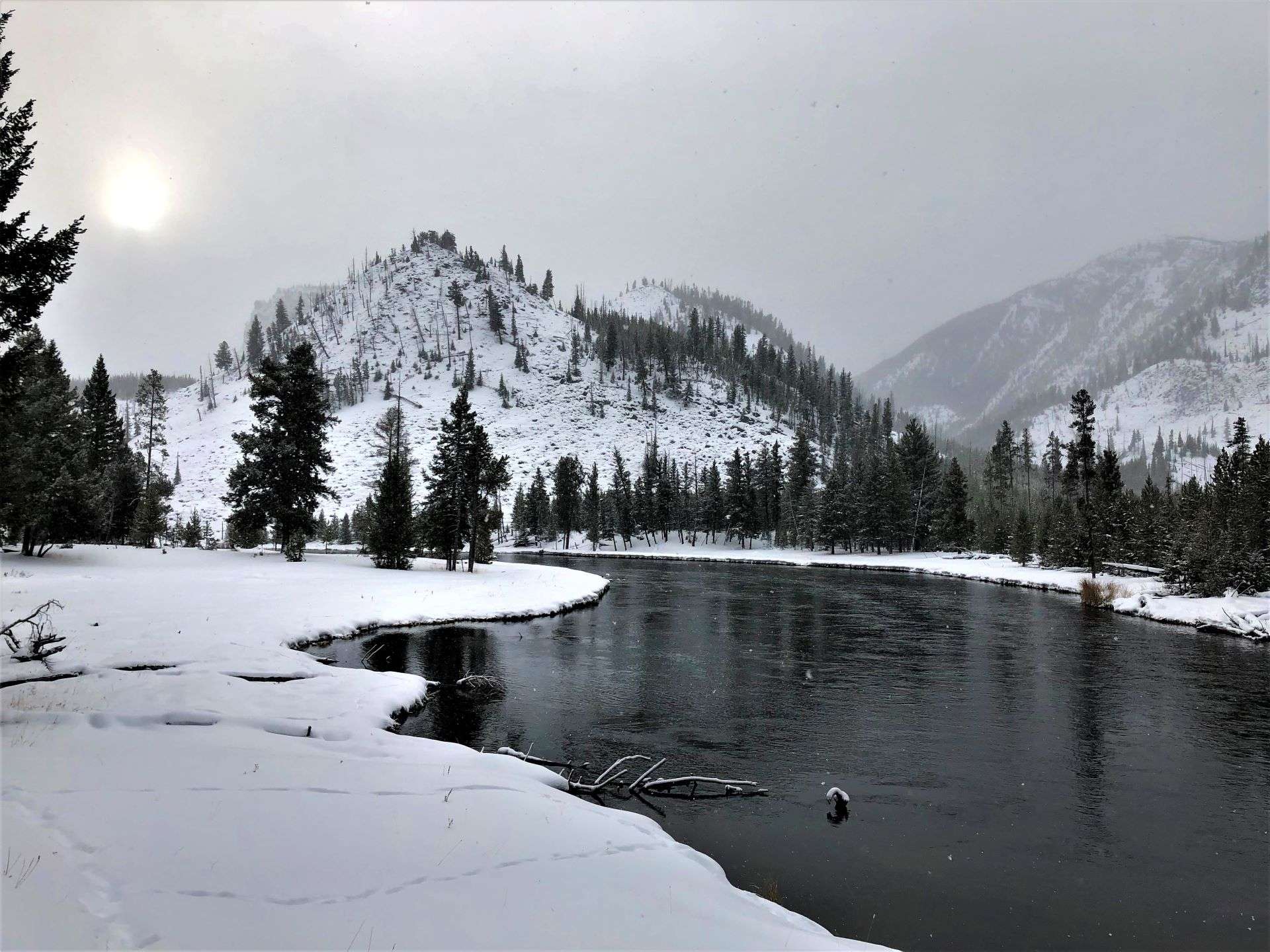 A cool, wintery morning alongside the Madison River in Yellowstone National Park, Wyoming, USA.