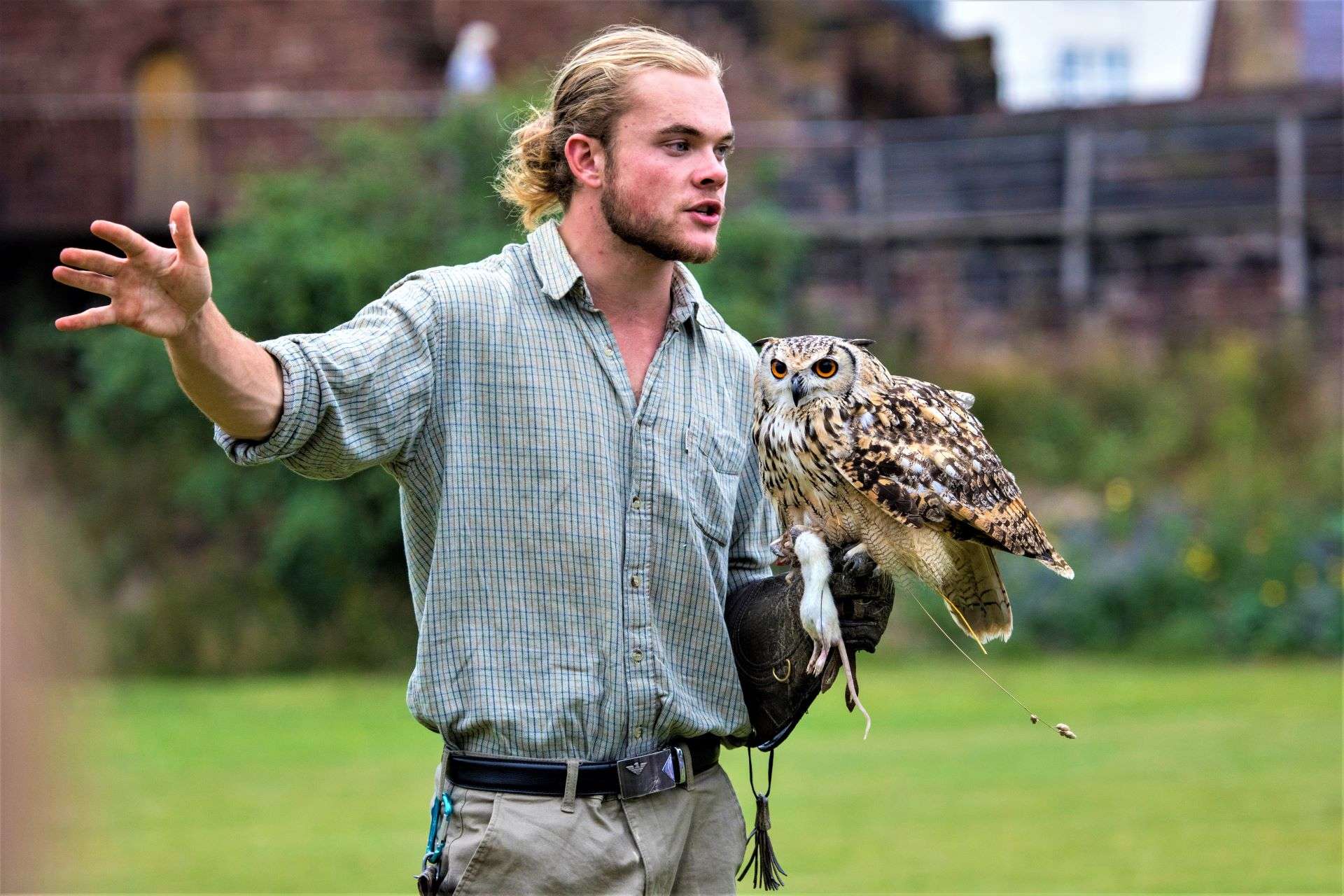 A bird handler with an Indian Eagle-Owl at the Chester Cathedral Falconry and Nature Gardens in the city of Chester, UK