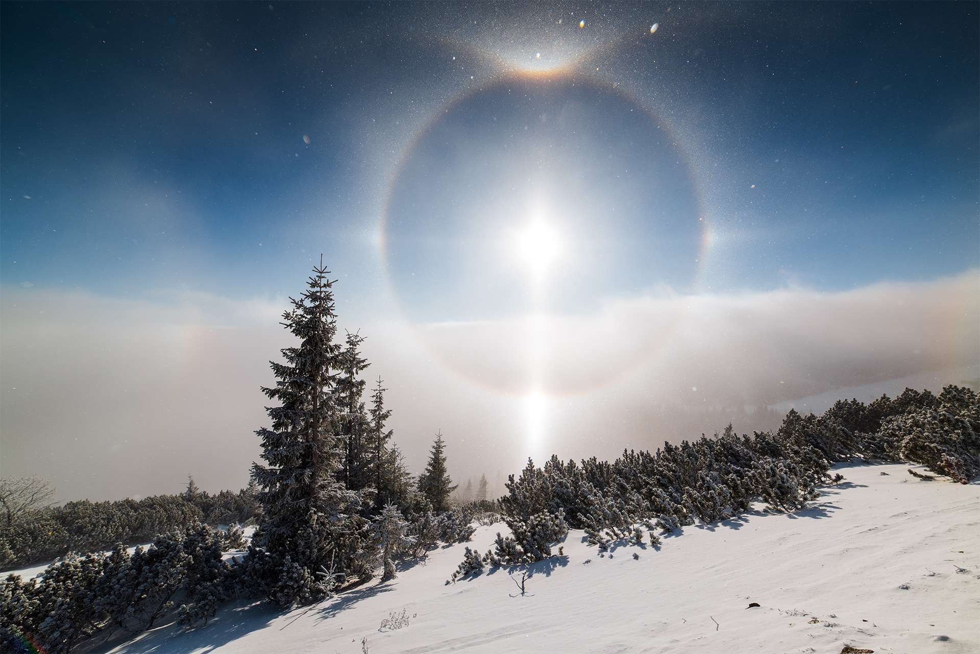 Sun dog Halo effect around winter morning sun, clouds inversion and snow covered trees