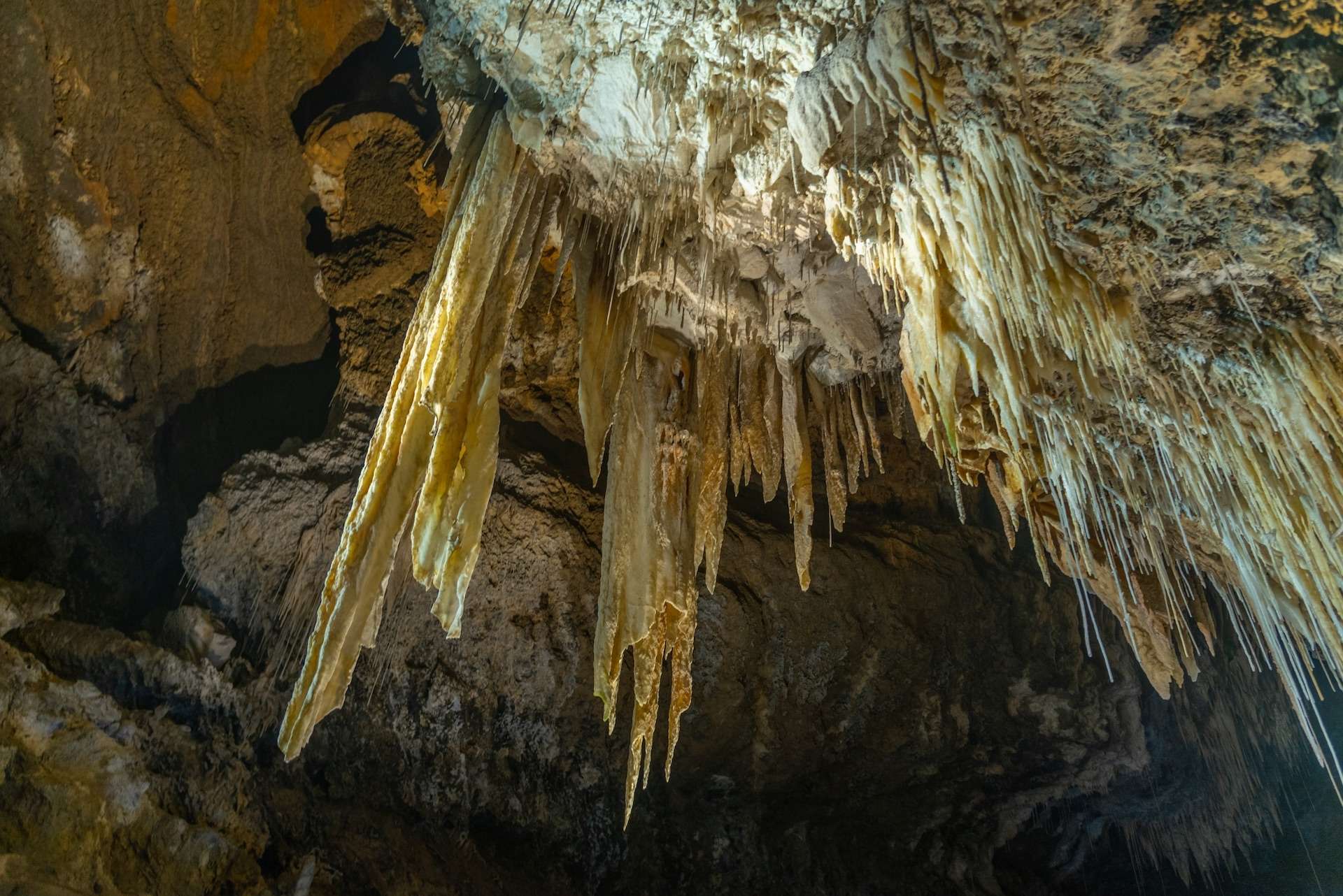 Marakoopa cave in Tasmania, Australia