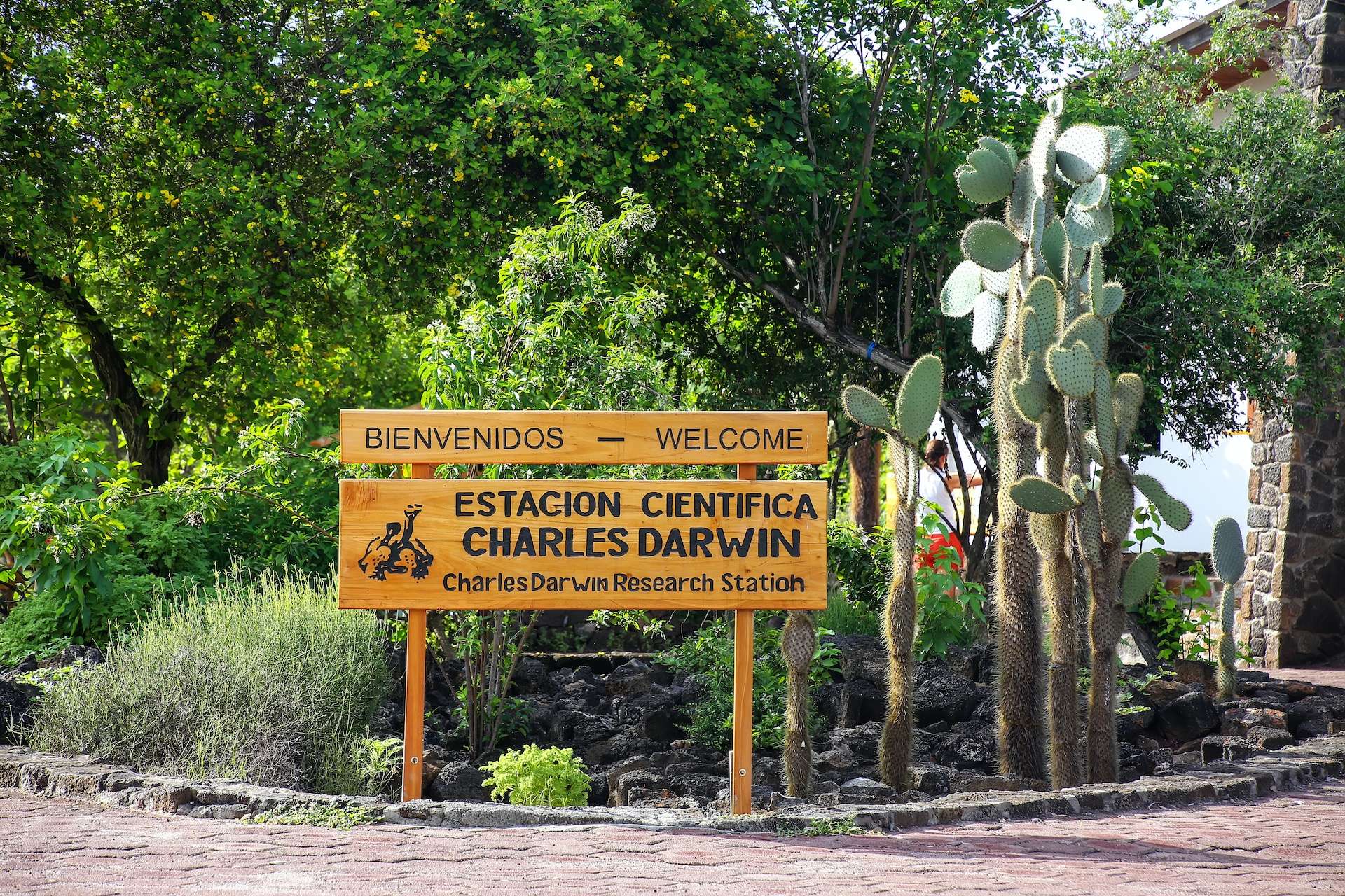 SANTA CRUZ, ECUADOR -APRIL 23: Charles Darwin Research Station on Santa Cruz Island on April 23, 2015 in Galapagos, Ecuador. Station is used to conduct scientific research