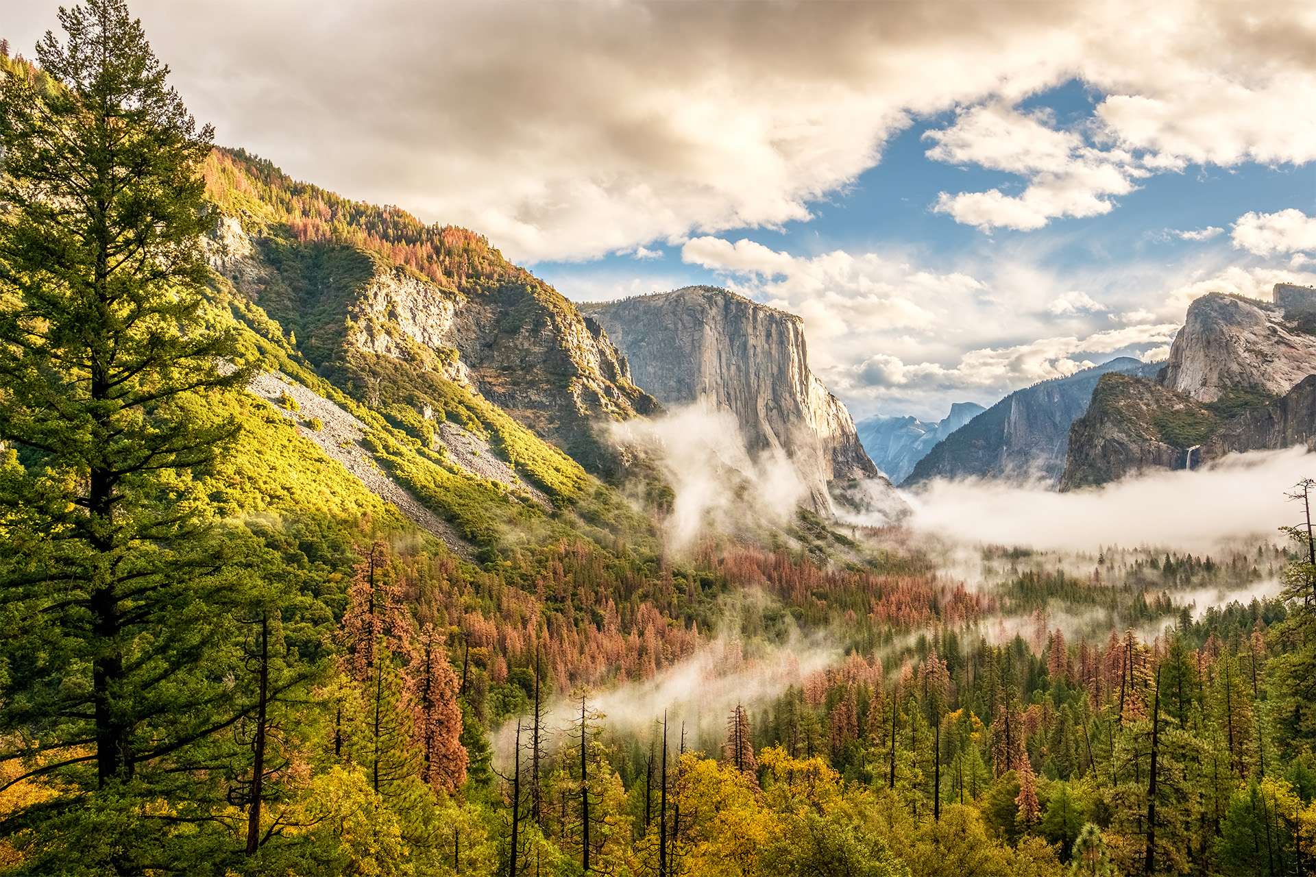Valle del Parque Nacional Yosemite en la mañana nublada de otoño desde Tunnel View.  Nubes bajas yacían en el valle.  California, EE.UU