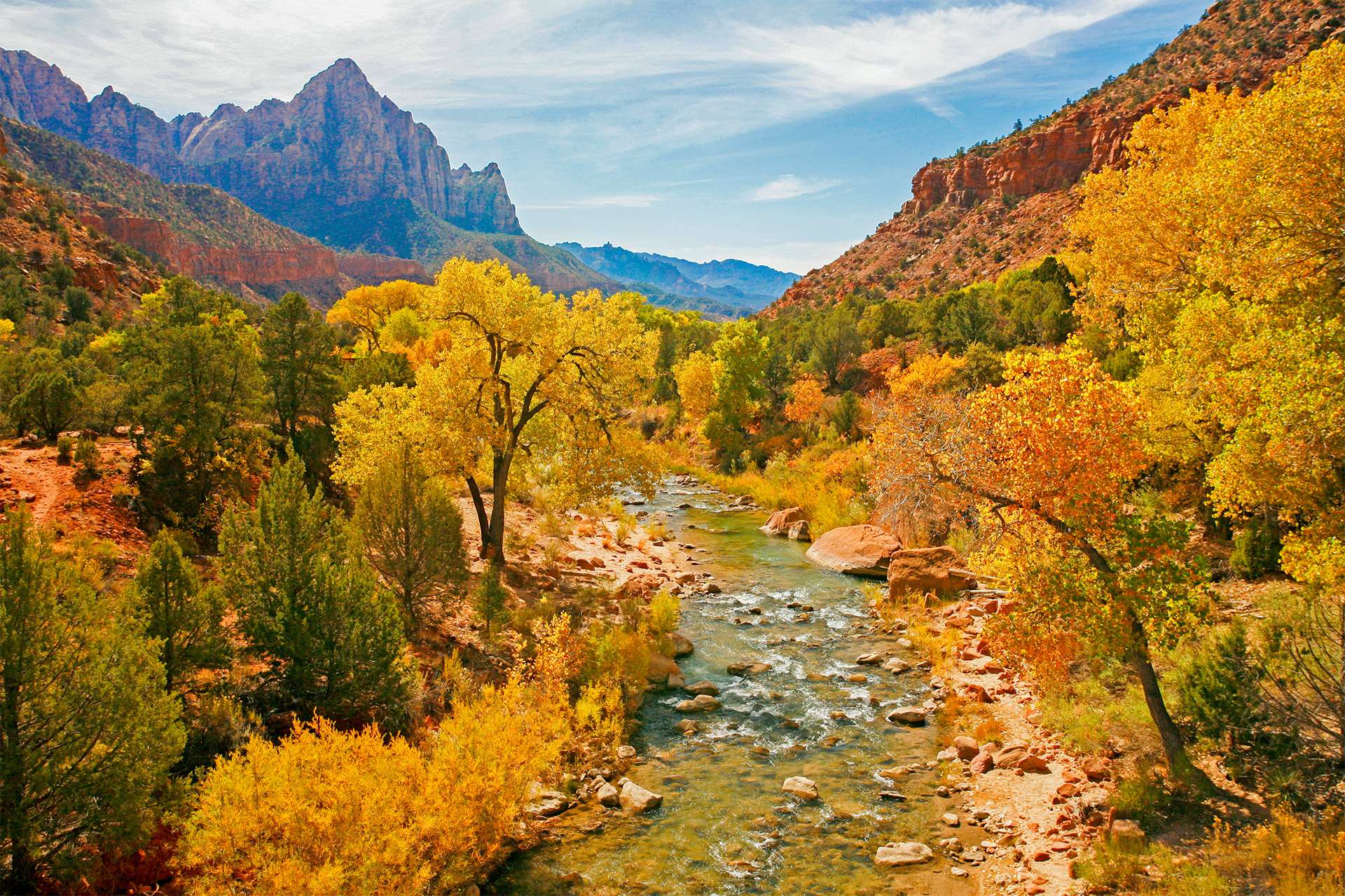 El río Virgin en el Parque Nacional Zion durante la temporada de otoño.  Los árboles que muestran los colores del otoño bordean el río.