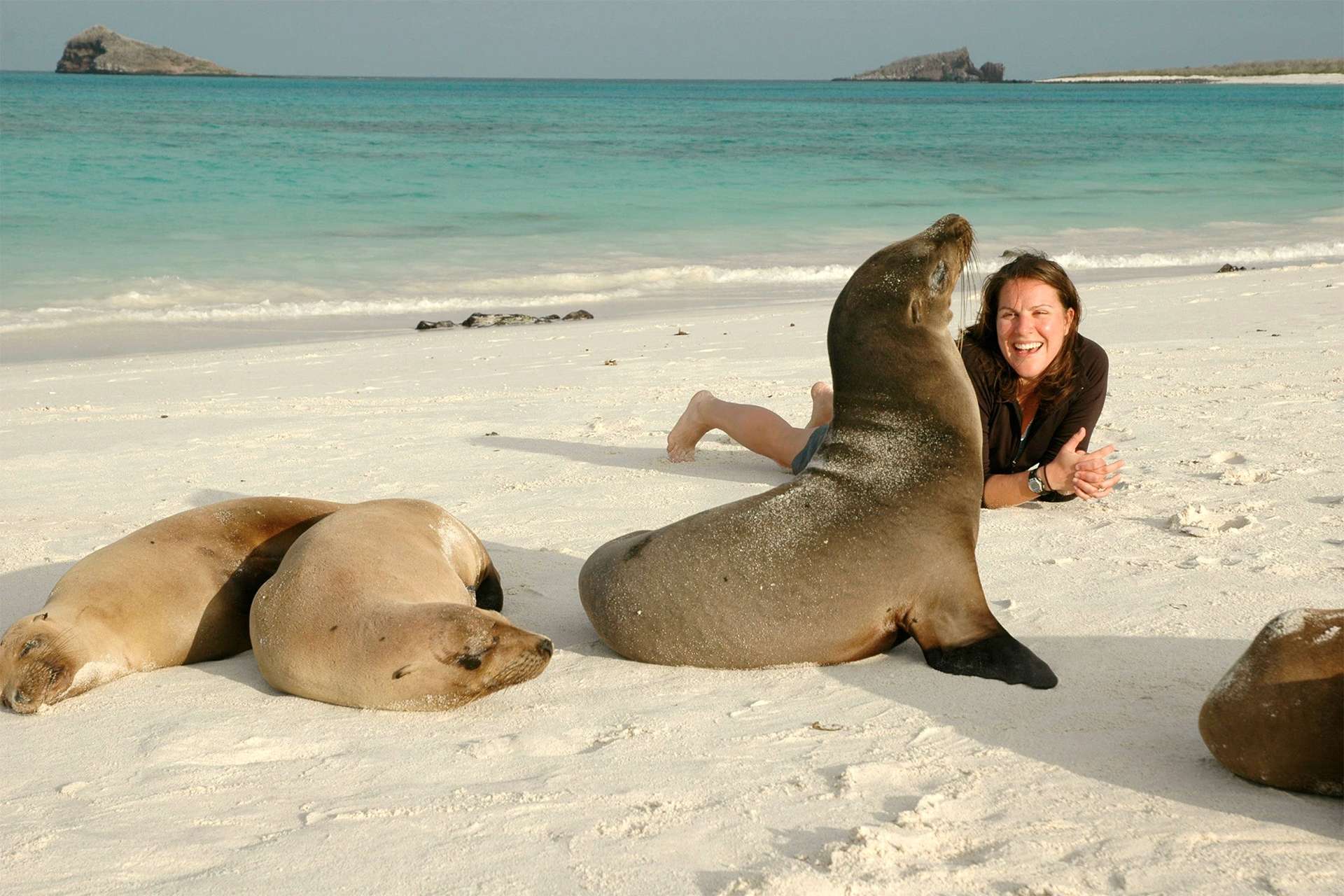 Woman traveler laughing and smiling gleefully surrounded by Galápagos sea lions basking in the sun