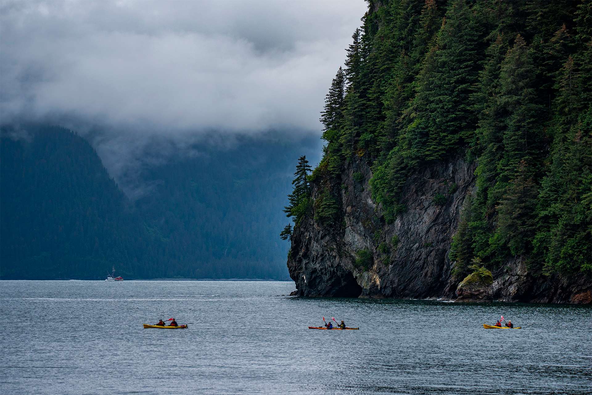 Kayaking kayakers travelers Alaska fjords misty mountain evergreens wildlife scenic landscape kayak tour