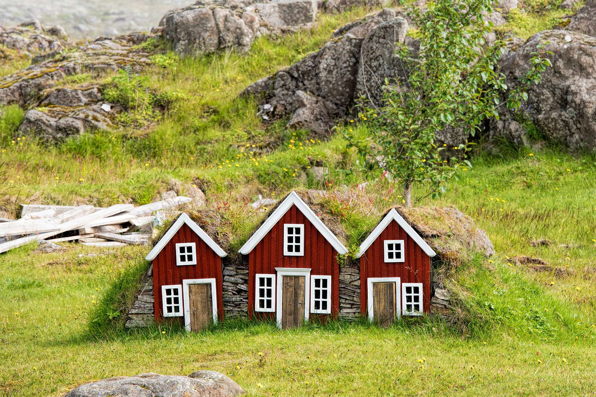 Elf houses in iceland