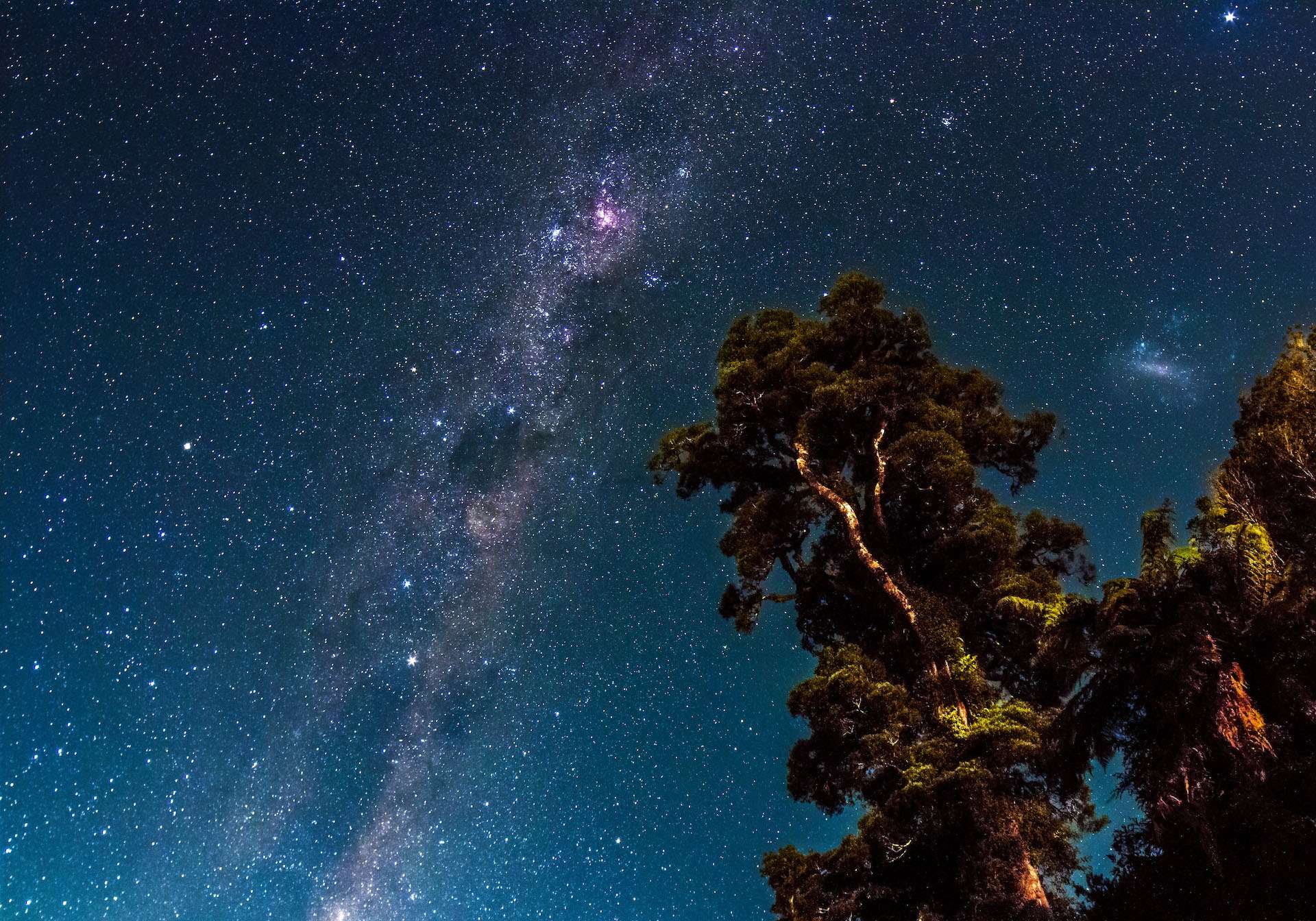 Lago Moeraki Nueva Zelanda Estrellas