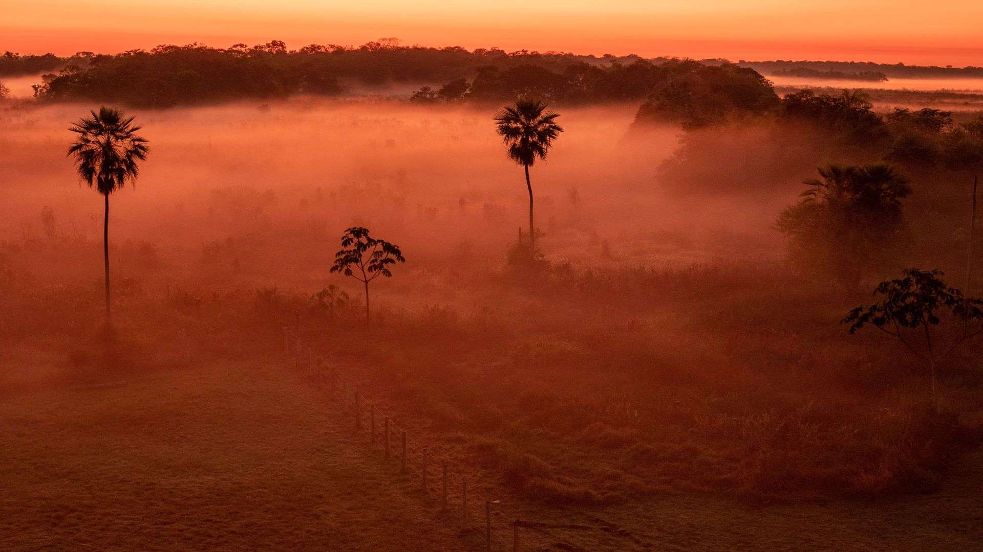 Landscape of the Pantanal at dusk/dawn