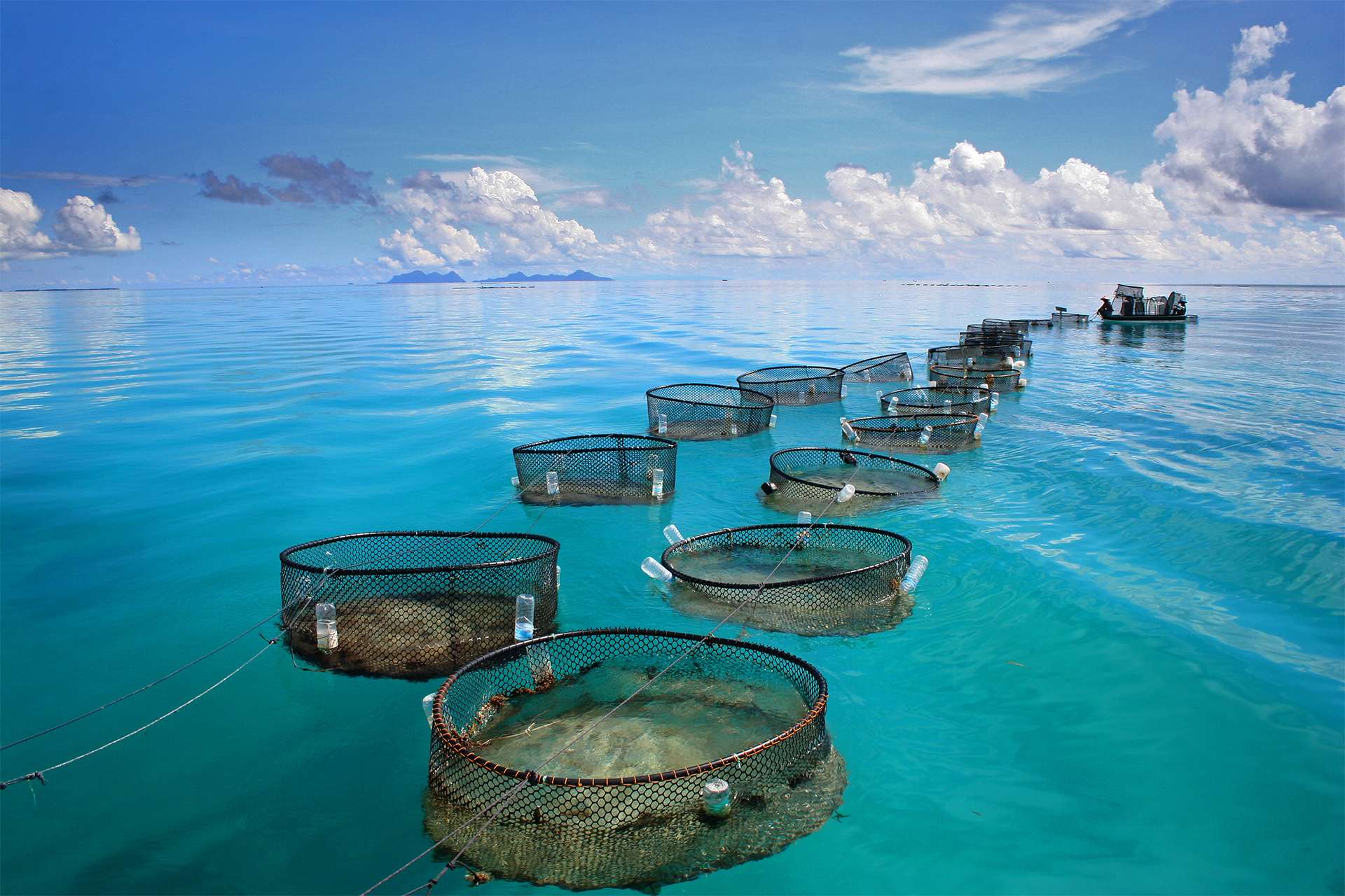 Aquaculture Marine fishery in tropical sea plastic reuse sustainable fishing