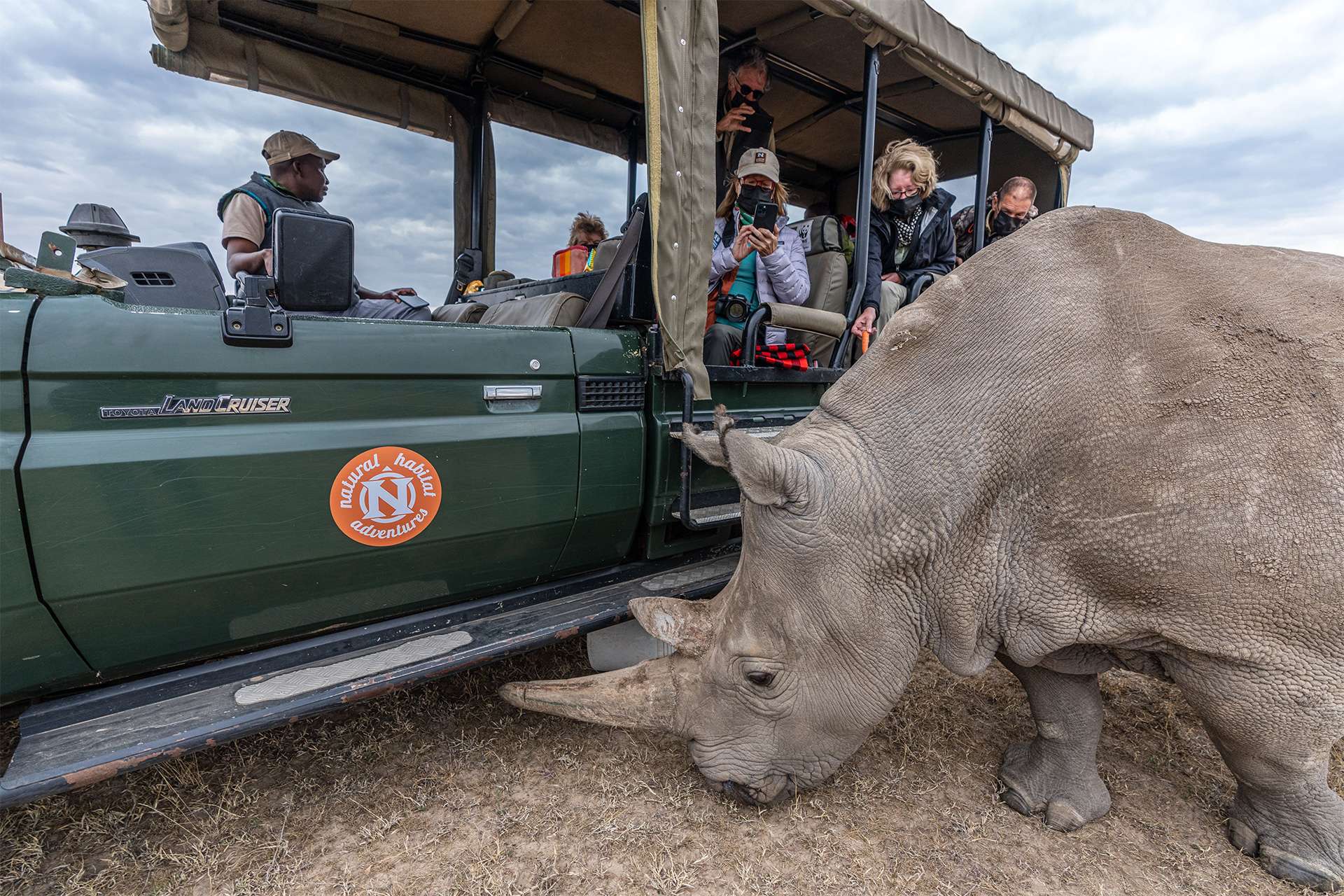 Ultimate east africa rhino sighting wildlife safari