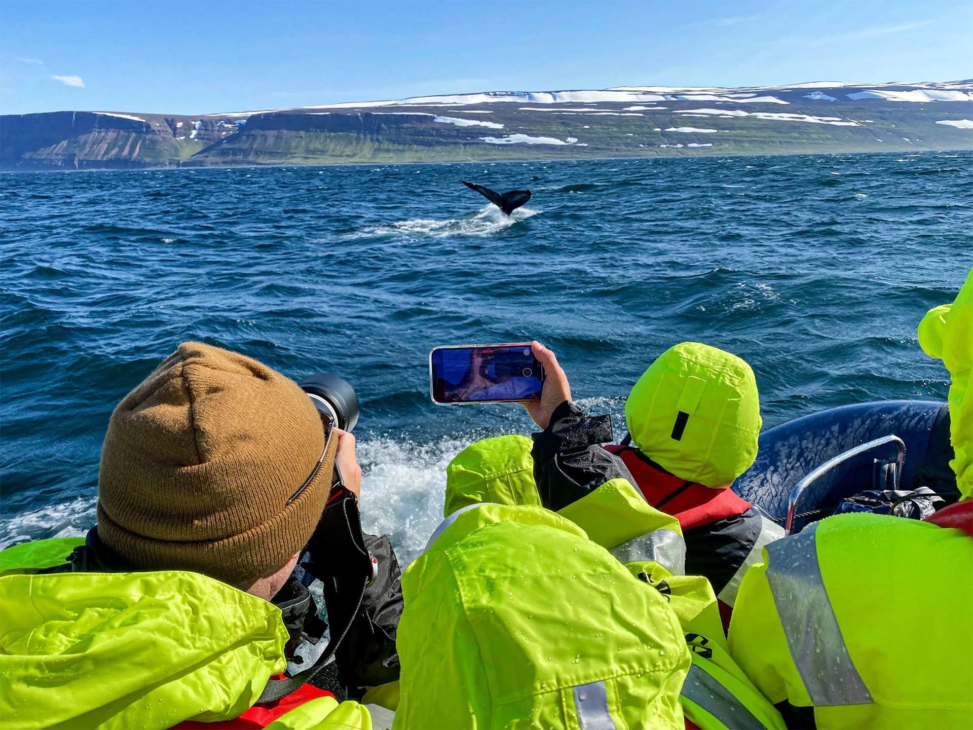 Nat Hab & WWF travelers witness whales and other marine life on full display!