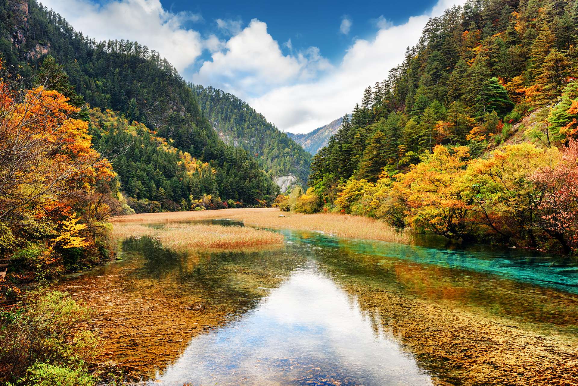 Crystal clear water of river among fall woods in mountain gorge, Jiuzhaigou nature reserve (Jiuzhai Valley National Park), China. Autumn landscape with forest in the Min Mountains (Minshan).