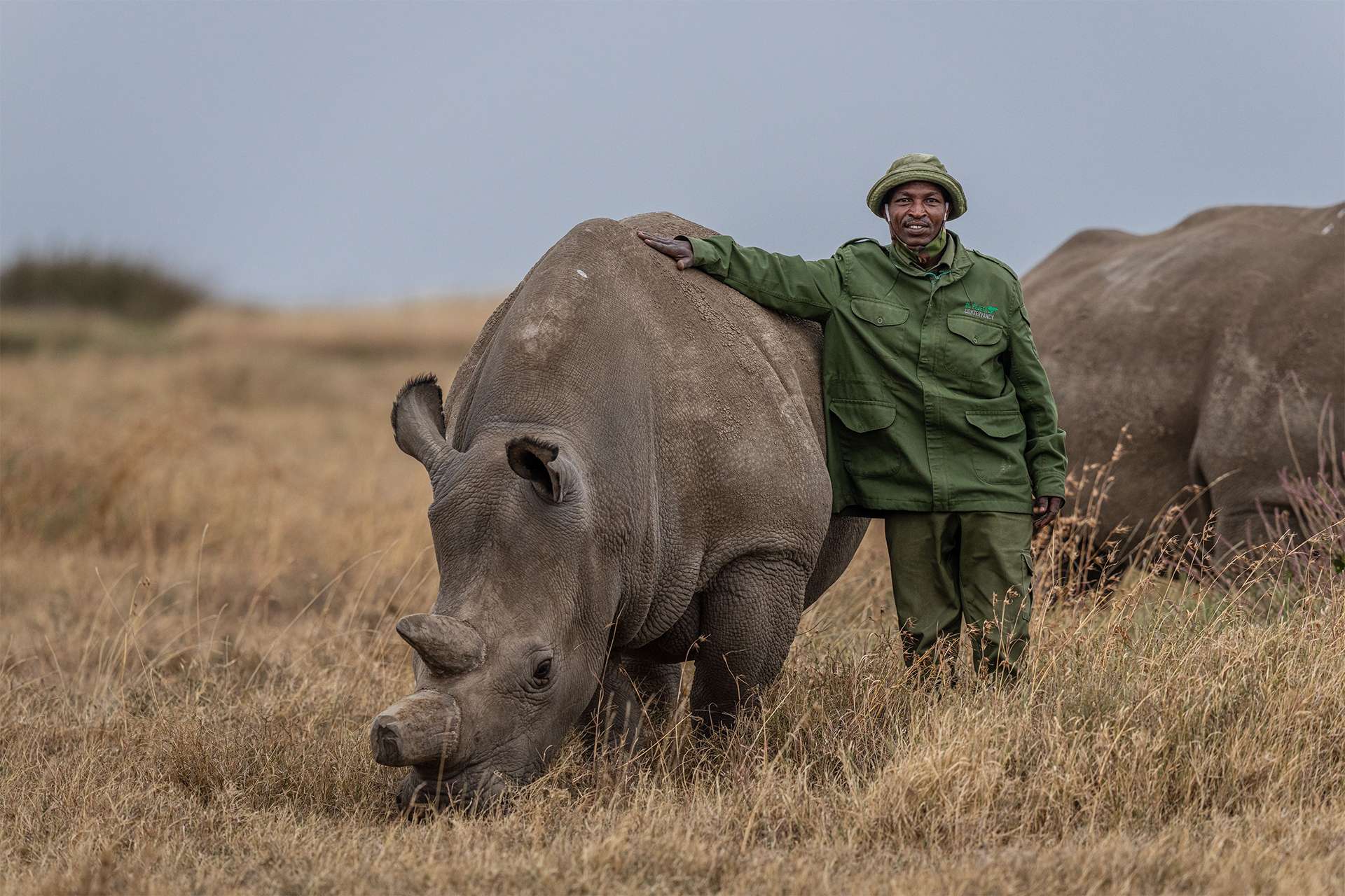 brave wildlife rangers who protect rhinos and other endangered species wildlife guide steward of the Earth’s biodiversity