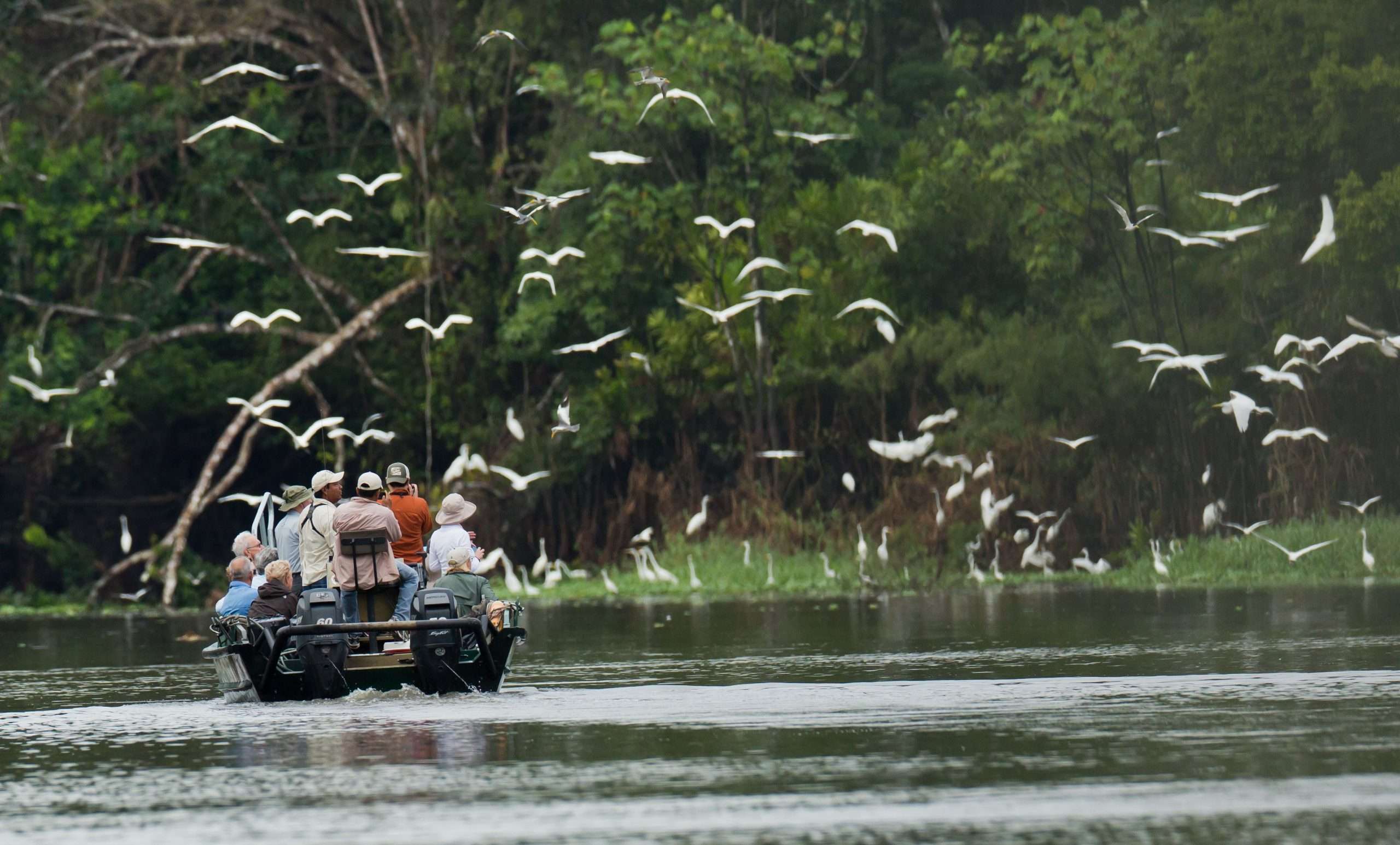 Travelers boat down the amazon river in South America birdwatching and viewing wildlife eco tourism nature travel rain forest conservation