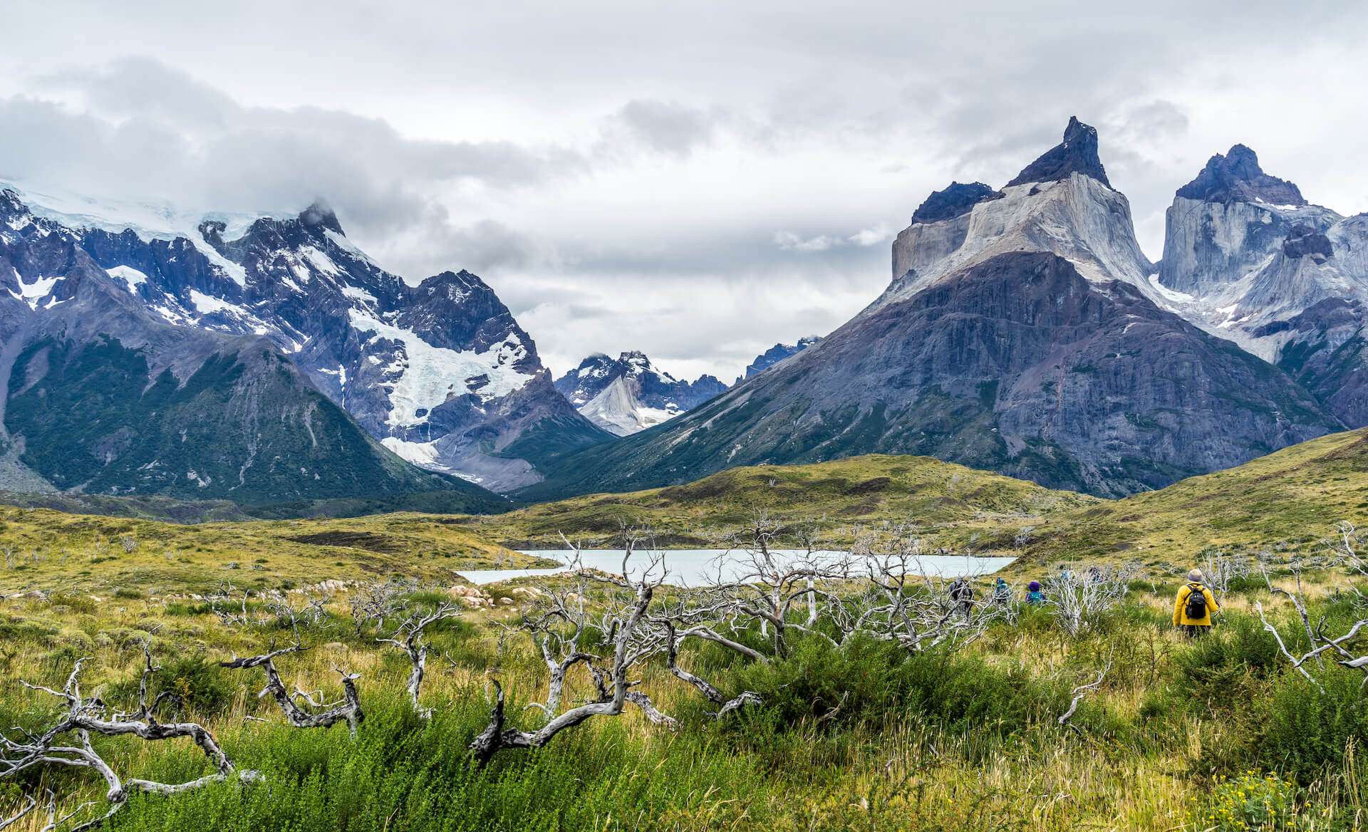 Andes Mountains in Torres del Paine National Park by Robert Anthony