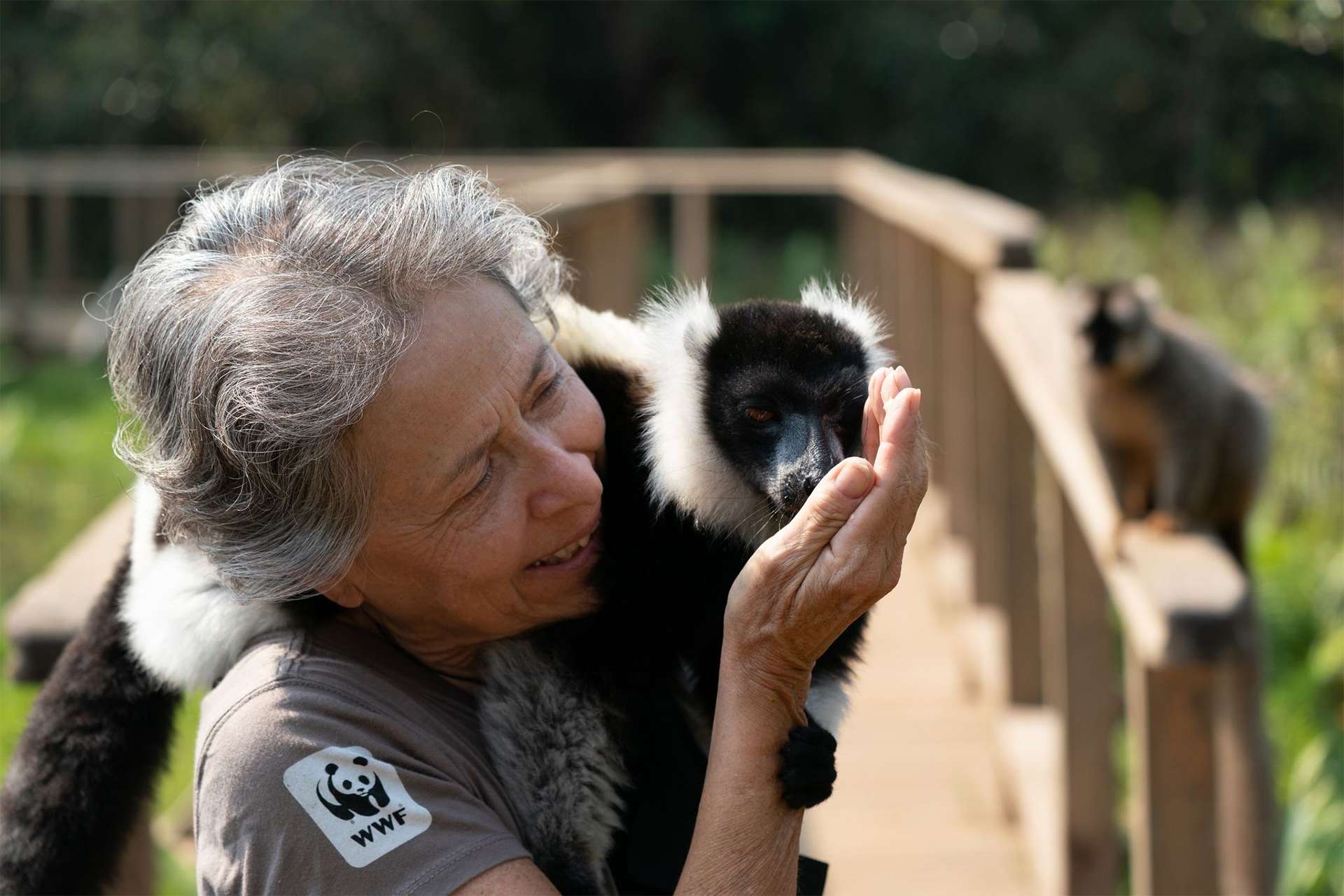 Woman tenderly holds endangered lemur species in Madagascar representing WWF and travel conservation 