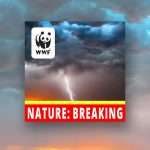 WWF Nature Breaking podcast logo