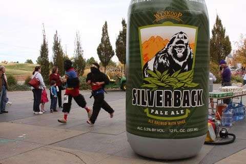 Silverback ale