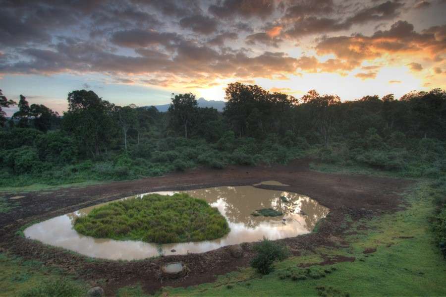 Mount Kenya National Park
