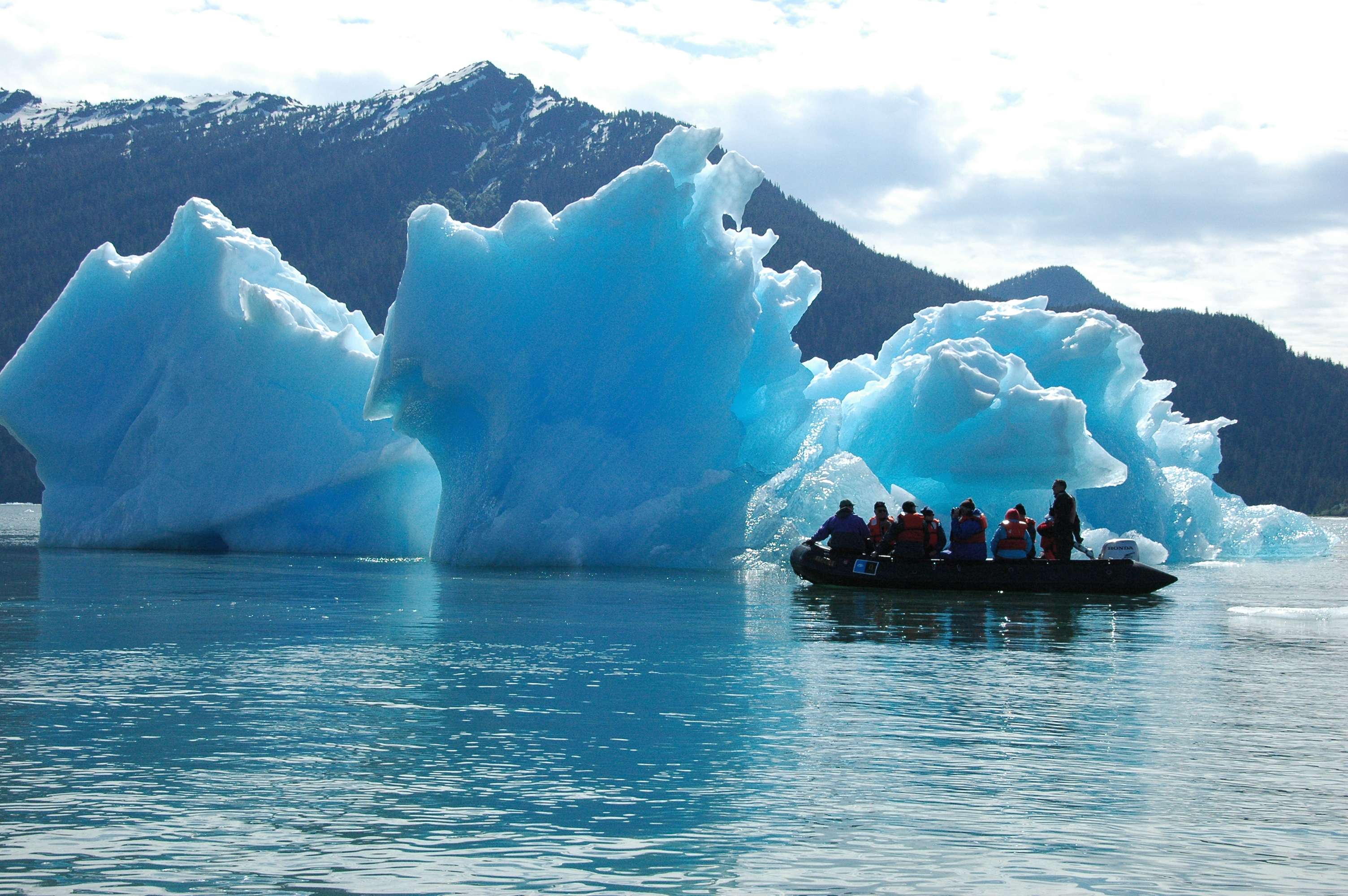 June in Alaska. Photo © WWF-US / Elissa Leibowitz Poma