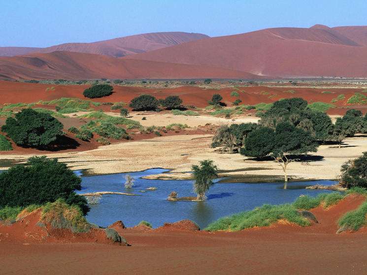 Sand dunes of Namibia. Photo © Martin Harvey / WWF-Canon
