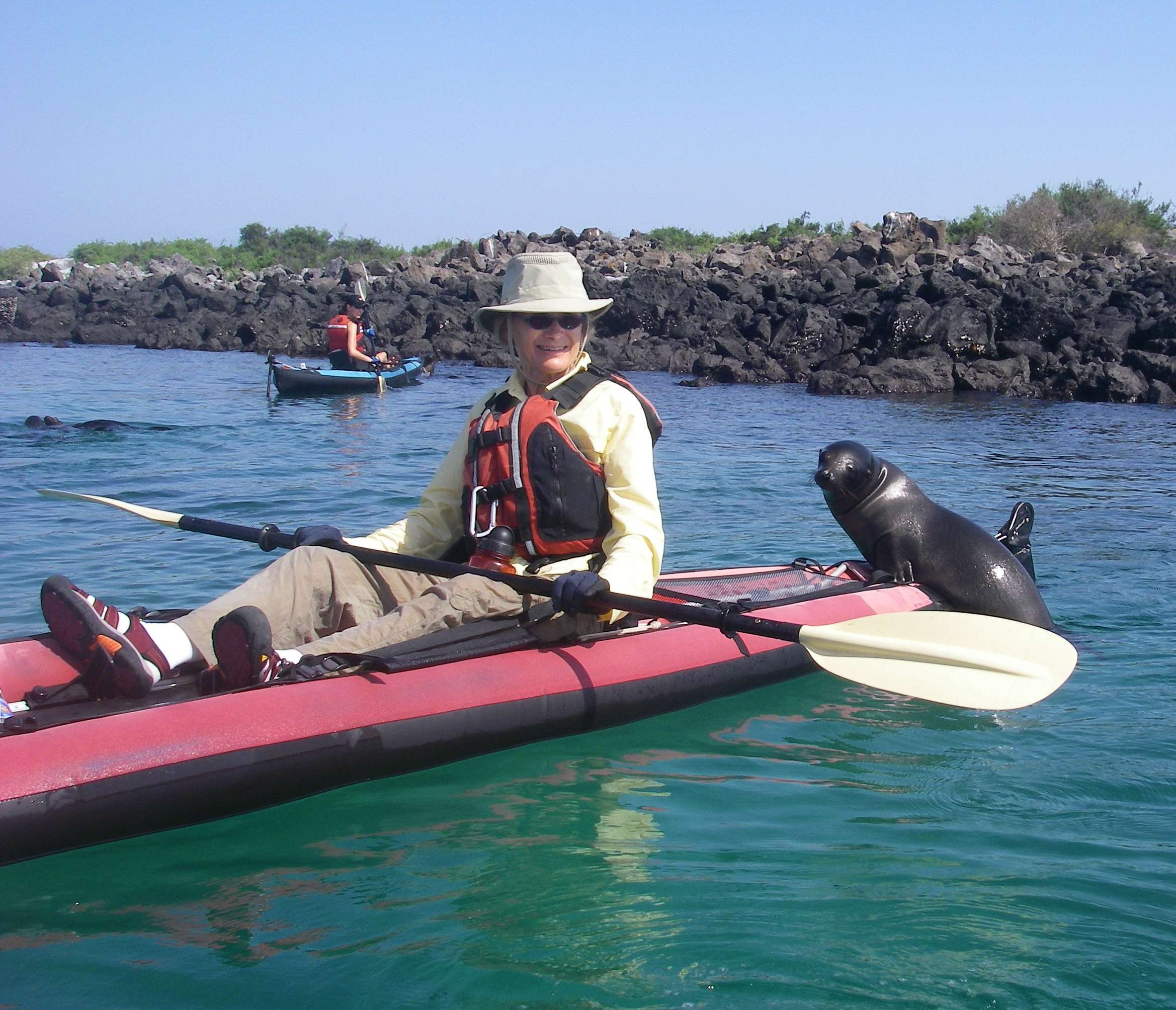 Catching a ride in the Galapagos Photo © Sandy Draus