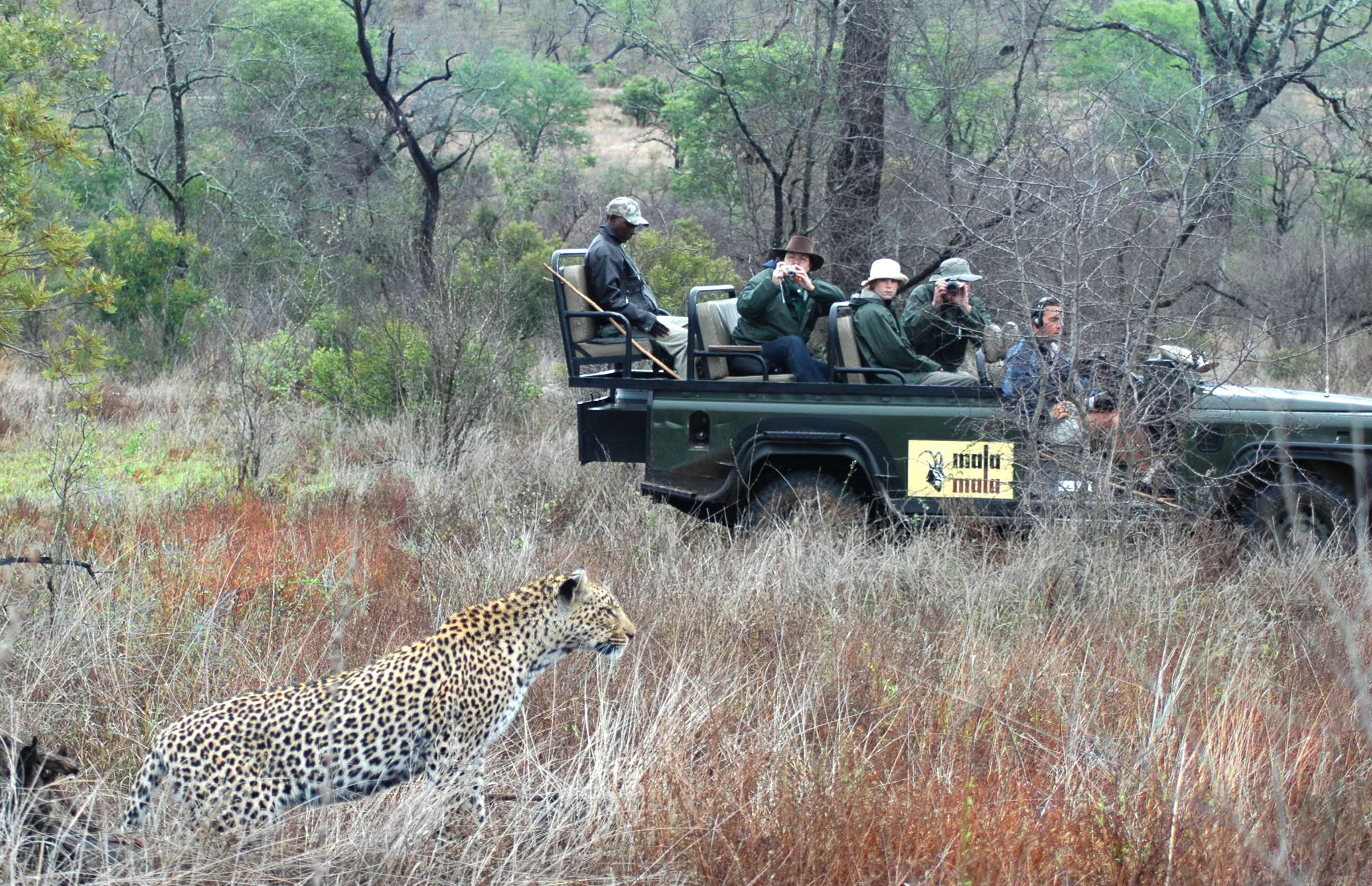 Travelers scouting in South Africa. Photo © Natural Habitat Adventures