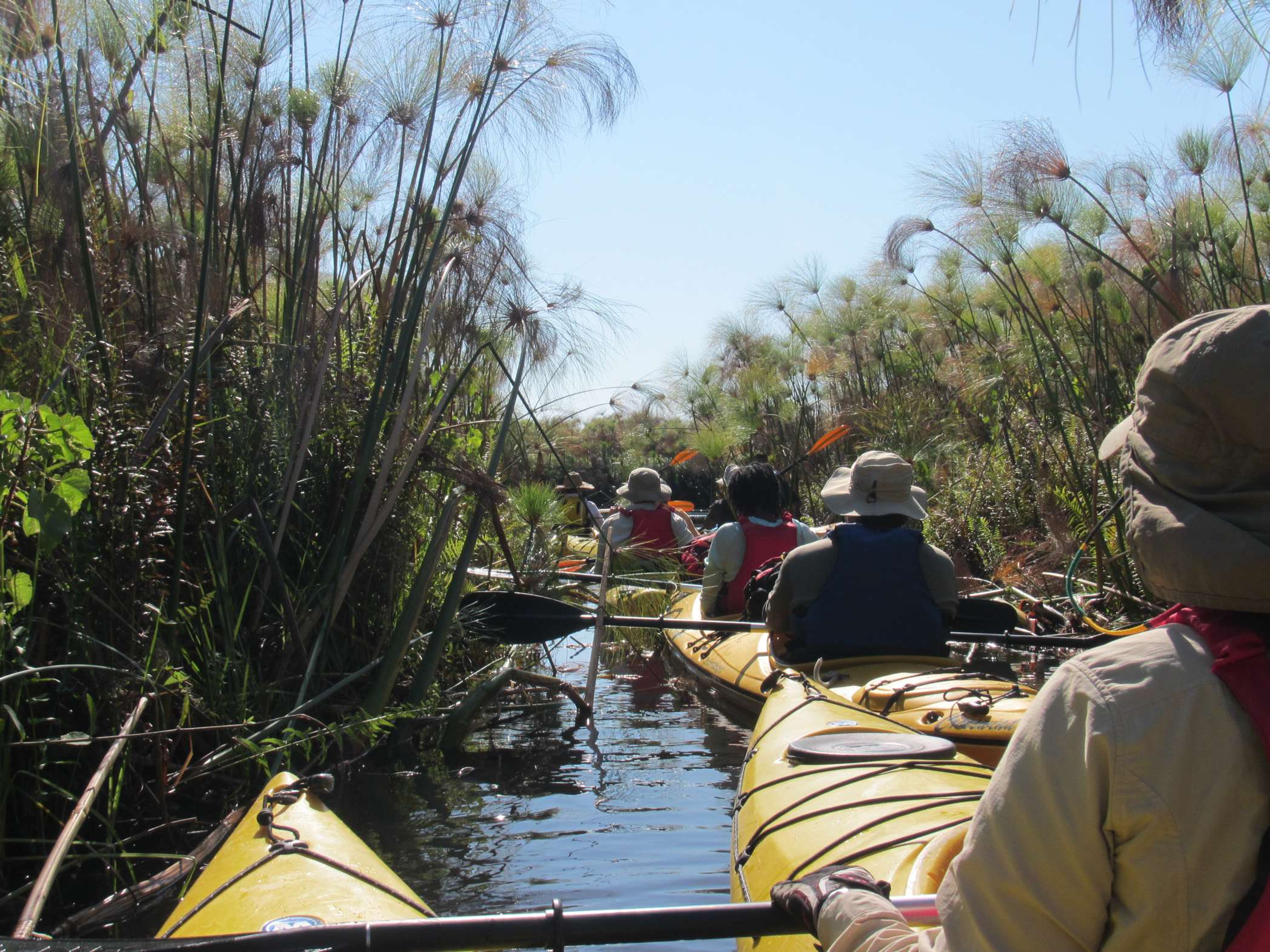 kayaking, Okavango Delta, Botswana, Africa, crocodiles