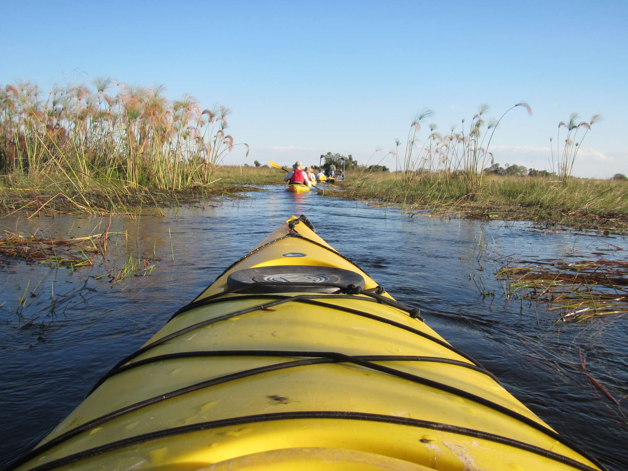 Okavango Delta, kayaking, crocodiles, danger, channels