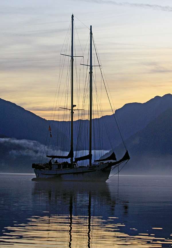 The Great Bear Rainforest is a wild stretch of western cedars, hemlocks, and spruce trees. In this virtually roadless area, travel is often by boat. ©Candice Gaukel Andrews
