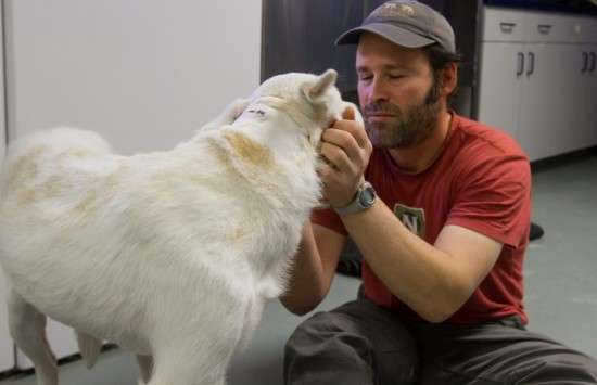 NHA Expedition Leader Brad Josephs shares a warm moment with the injured dog he helped rescue.