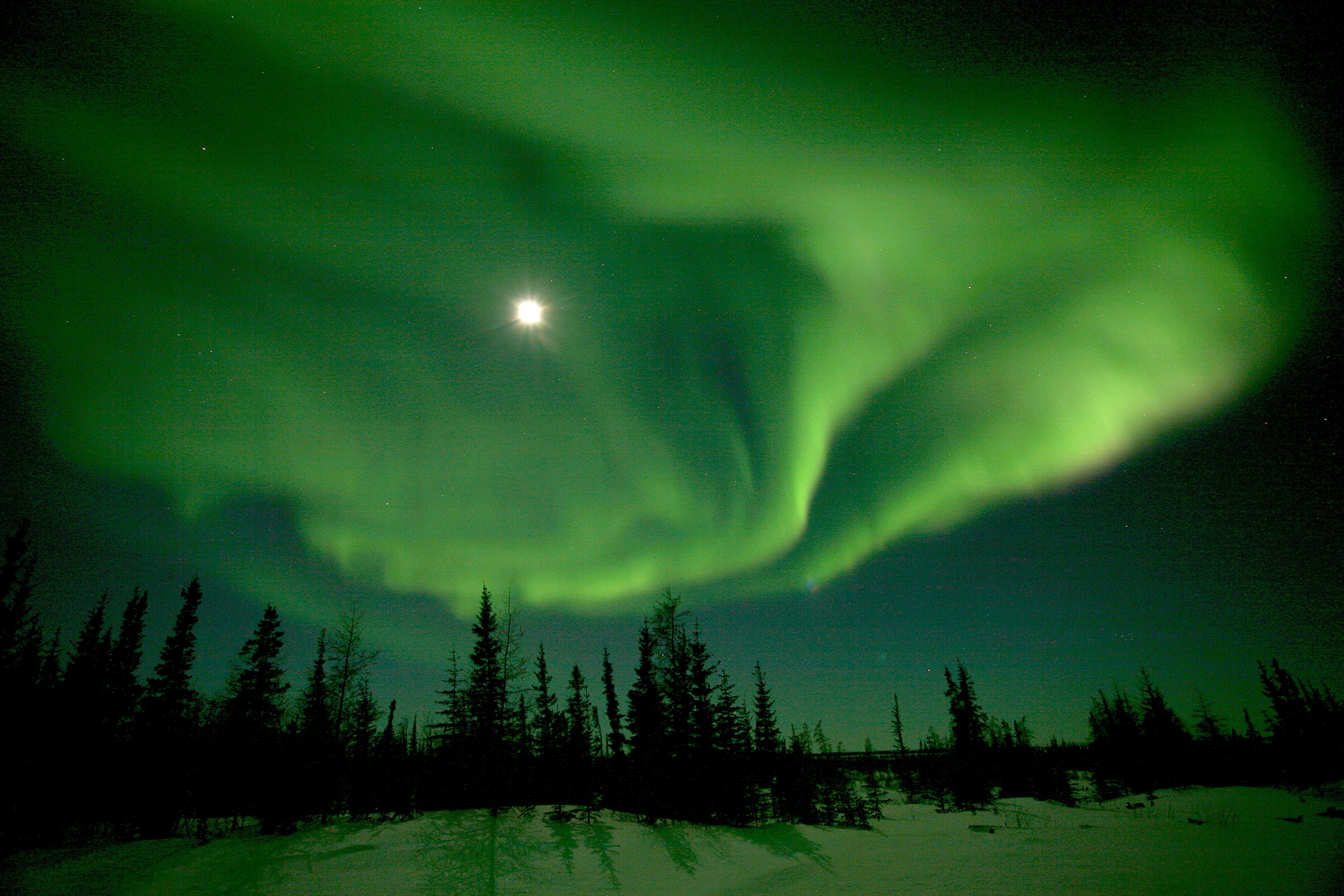 Northern Lights in Churchill, Canada (c) Eric Rock/NHA