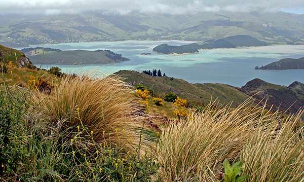 On New Zealand’s South Island, rugged coastlines meet peaceful sounds and rainforests run out to active glaciers and icy fjords. ©Candice Gaukel Andrews