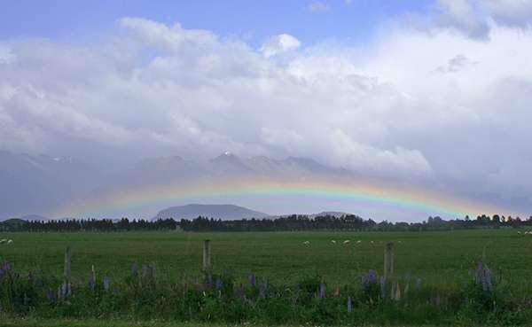 A rainbow bisects a mountain range unnoticed by some of the country’s abundant sheep. ©Candice Gaukel Andrews