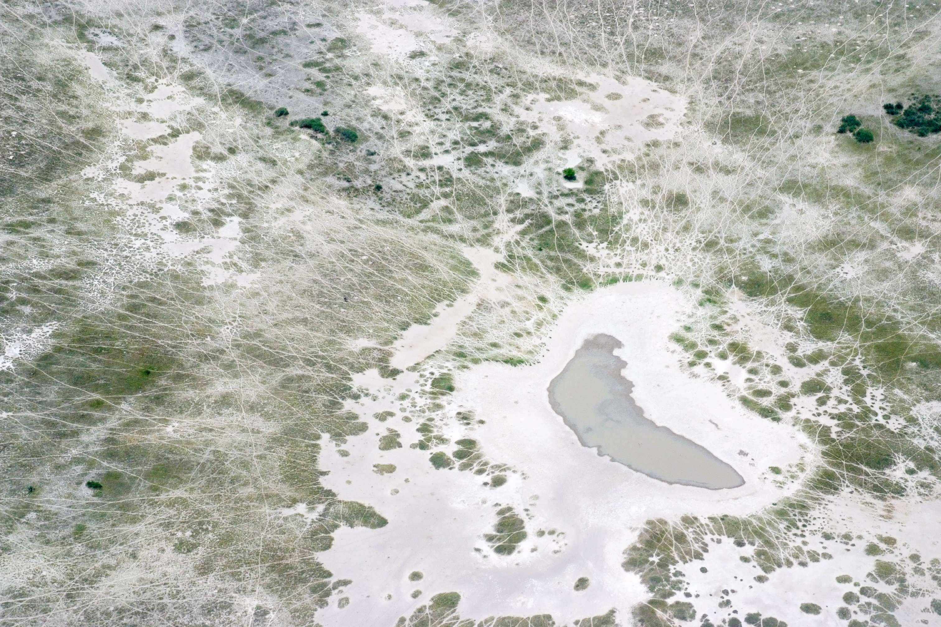 Wildlife trails lead to a dry water hole in the Kalahari. © Rachel Kramer/WWF-US