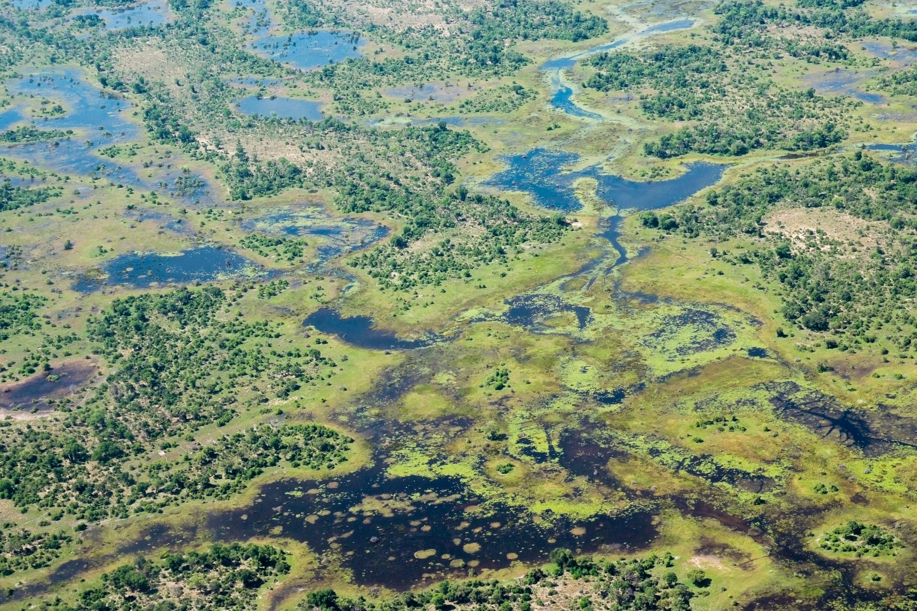 The inundated landscape of Botswana’s Okavango delta. © Rachel Kramer/WWF-US