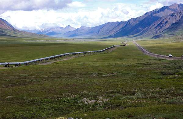 The Trans-Alaska Pipeline is aboveground for half its length. Because oil here comes out of the ground at 180 degrees Fahrenheit and is still at 120 degrees when it enters the pipe, the line would catastrophically melt the permafrost underlying much of its route if it were buried, causing the pipeline to rupture. ©U.S. Geological Survey