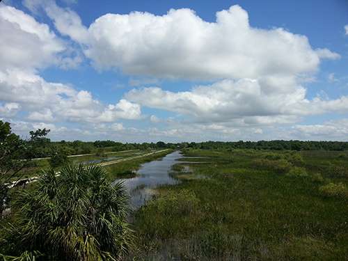The Arthur R. Marshall Loxahatchee National Wildlife Refuge is part of the Florida Everglades. ©shelnew19, flickr