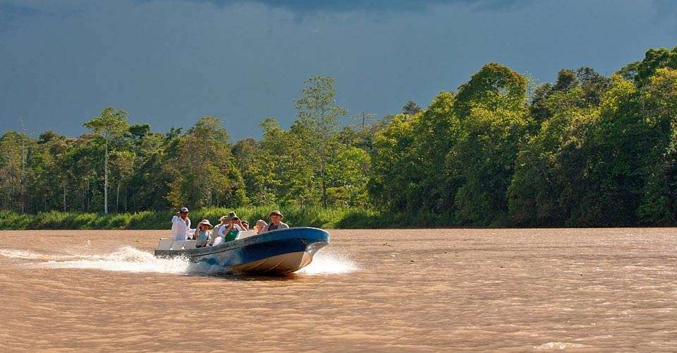 Kinabatangan River, Borneo.