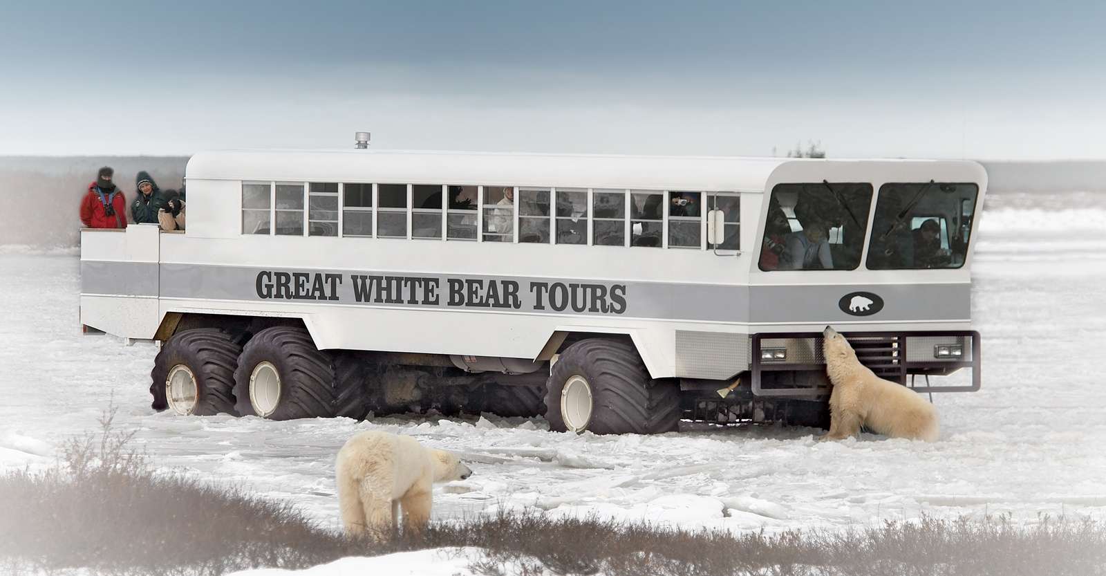 Nat Hab guests aboard the Polar Rover, Churchill, Manitoba.