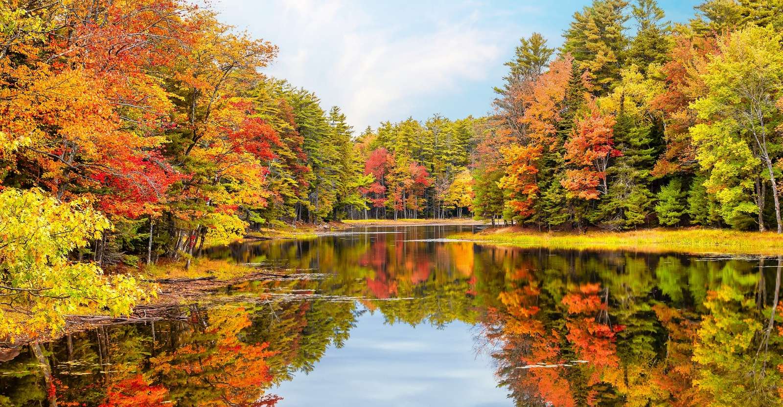 Fall foliage, Acadia National Park, Maine.